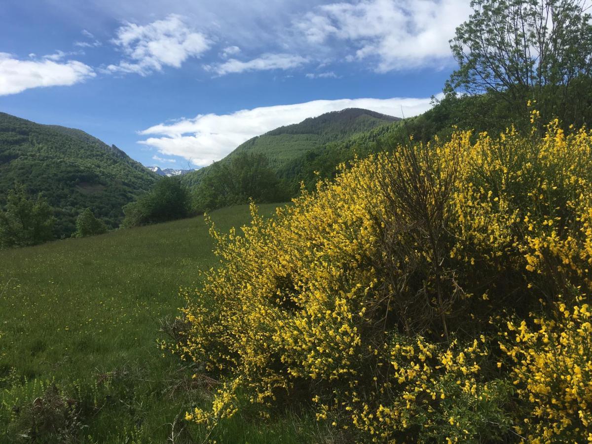 Les Songes Du Chene Hotel Augirein ภายนอก รูปภาพ